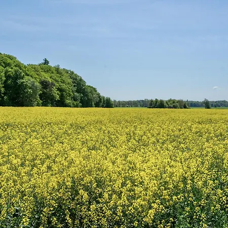 Haus Waldblick Feriehus *