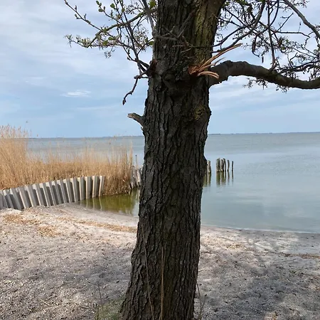 Haus Waldblick Feriehus Saal